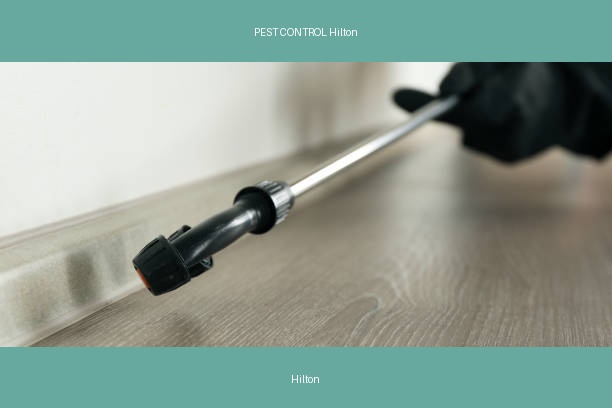 PEST CONTROL Hilton